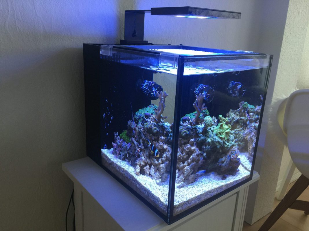 Innovative Marine Fusion 10g