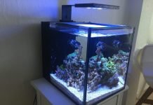 Innovative Marine Fusion 10G Innovative Marine Fusion 10g