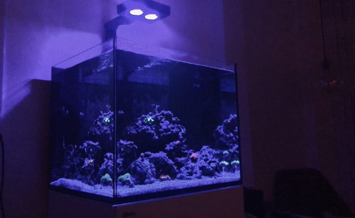 Red Sea Reefer 170 Red Sea Reefer 170