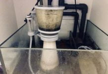 Nyos Quantum 120 Nyos Quantum 120