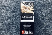 Aiptasia X Aiptasia X